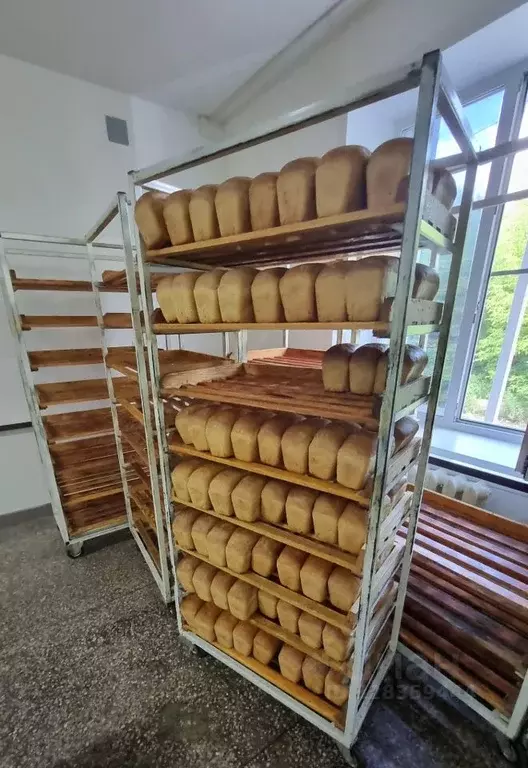 Производственное помещение в Новосибирская область, Искитим ... - Фото 1