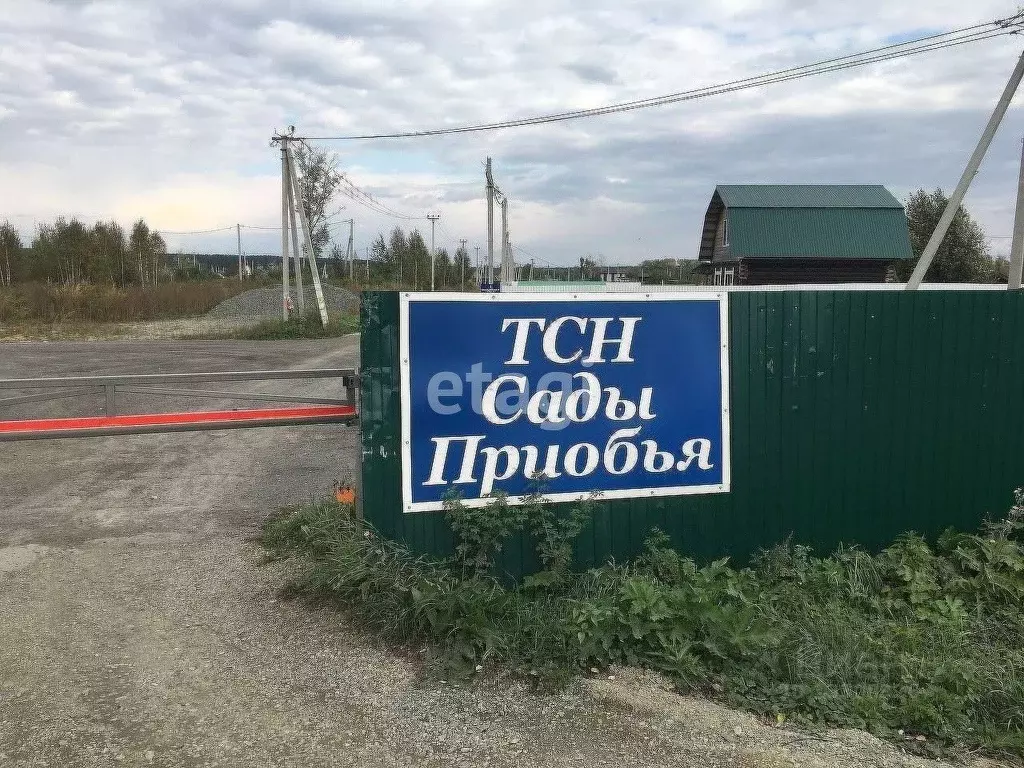 Купить Участок В Сокуре Новосибирской Области