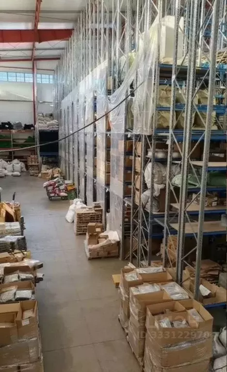 Склад в Московская область, Ленинский городской округ, с. Остров ул. ... - Фото 2
