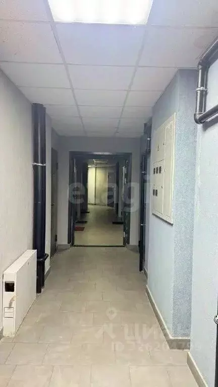 Студия Воронежская область, Воронеж Ростовская ул., 100БкБ (17.6 м) - Фото 1