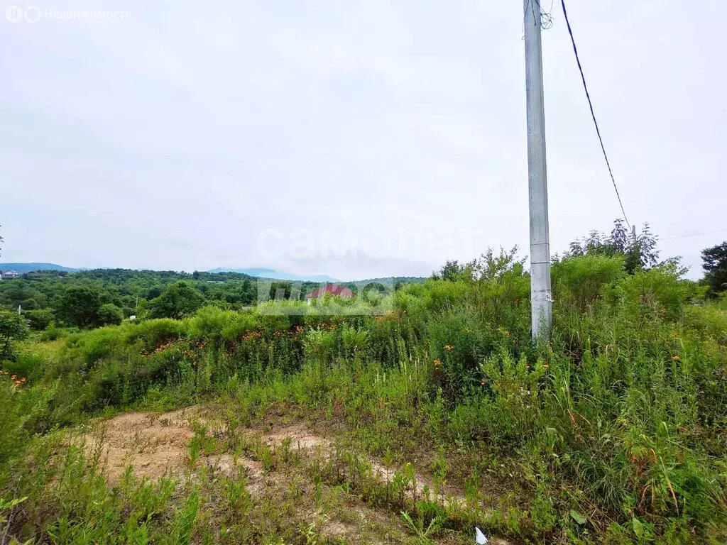 Участок в Артём, СТ Берёзка-3 (10 м) - Фото 1