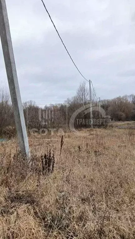 Участок в Воронежская область, Новоусманский район, с. Бабяково  (15.0 ... - Фото 1