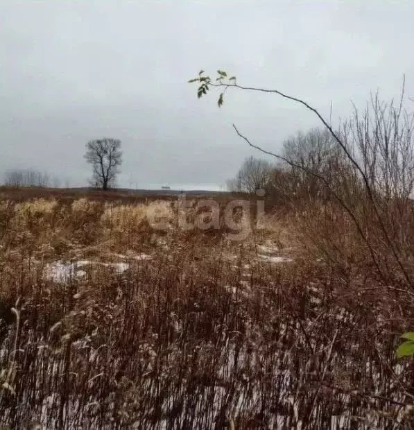 Участок в Калининградская область, Зеленоградский муниципальный округ, ... - Фото 2