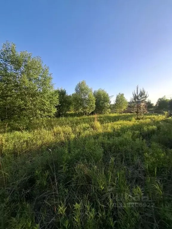 Участок в Нижегородская область, Нижний Новгород с. Безводное, ул. ... - Фото 0