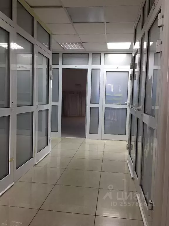 Офис в Ивановская область, Иваново просп. Ленина, 2Б (26 м) - Фото 2