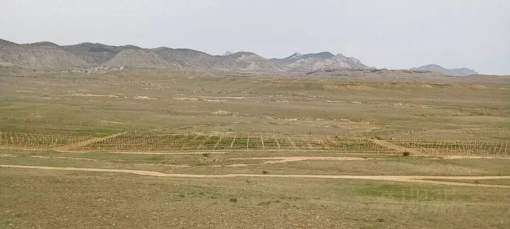 Участок в Крым, Судак муниципальный округ, с. Миндальное, Солнечная ... - Фото 1