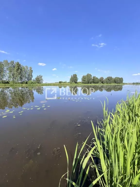 Дом в Костромская область, Кострома Рассвет СТ, 17Б (15 м) - Фото 1