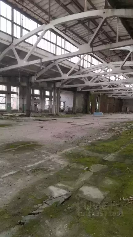 Склад в Московская область, Раменский муниципальный округ, д. Кузяево  ... - Фото 2