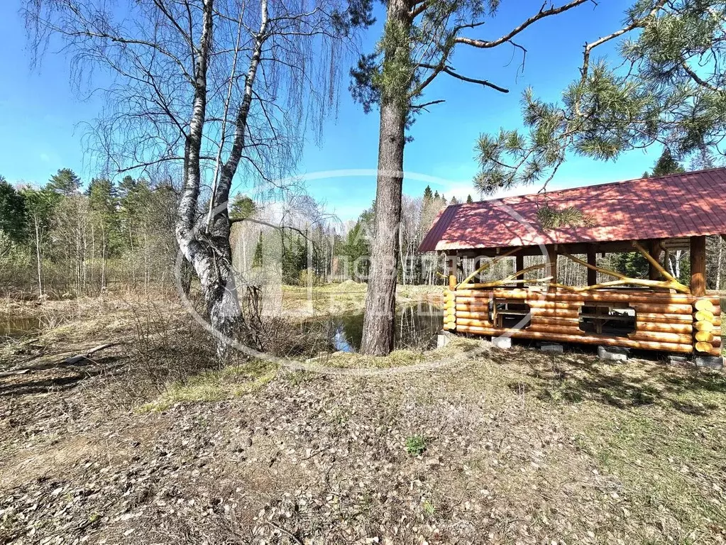 Дом в Пермский край, Чайковский городской округ, д. Дубовая ул. ... - Фото 1