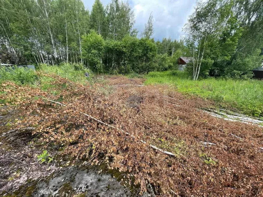 Участок в Владимирская область, Покров Строитель-3Б садовое ... - Фото 2