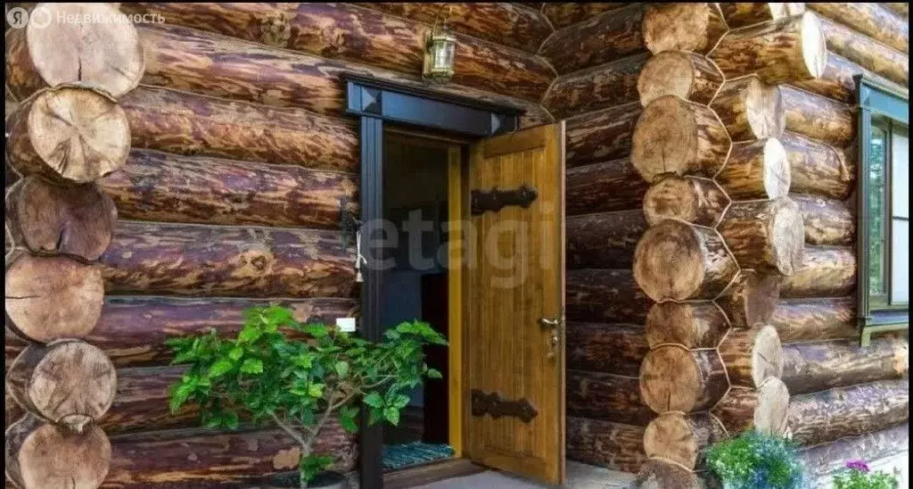 Участок в село Чепош, ДНТ Заречье, Сосновая улица (30 м) - Фото 2