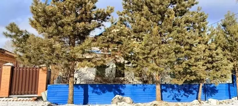 Дом в Хабаровский край, Комсомольск-на-Амуре пос. Силинский, ул. 7-я ... - Фото 1