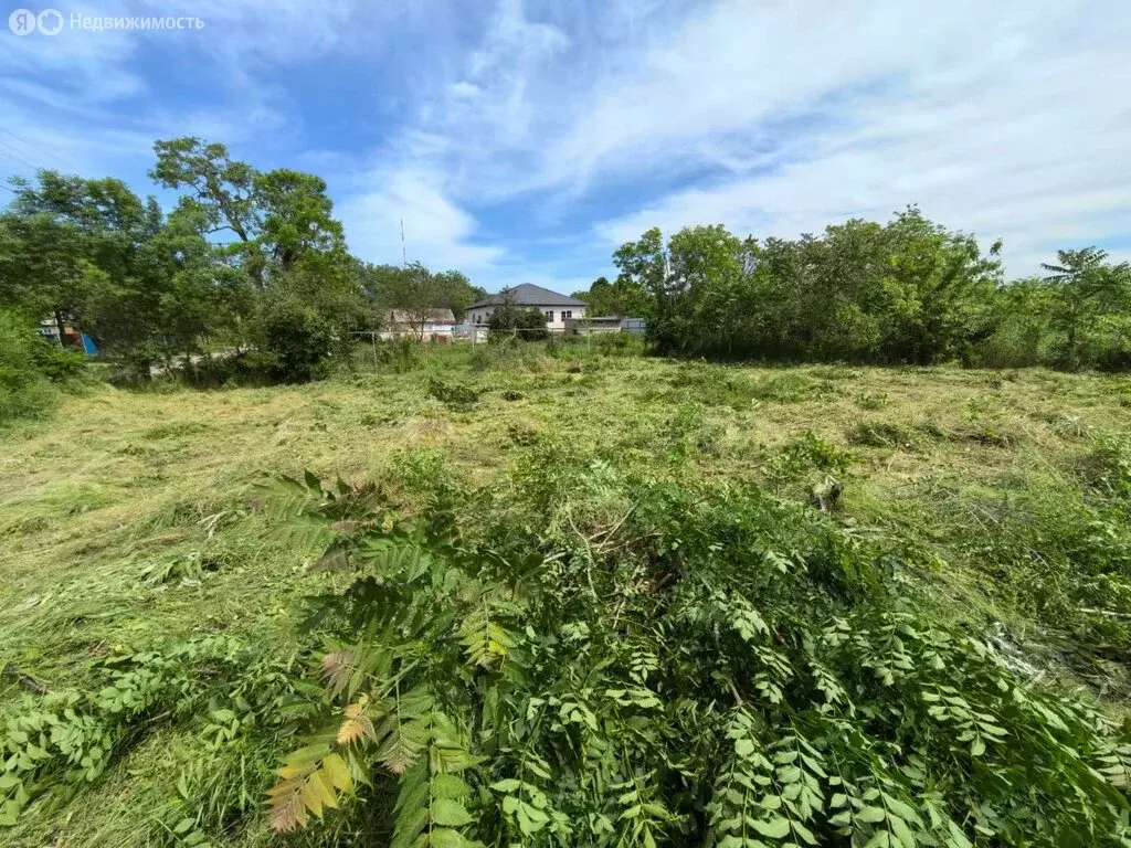 Участок в Прочноокопское сельское поселение, хутор Фортштадт, улица ... - Фото 2