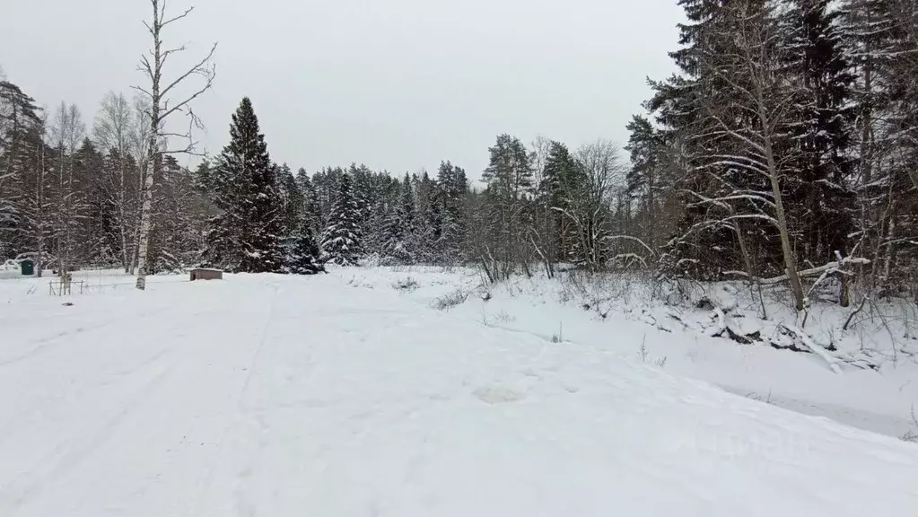 Участок в Ленинградская область, Выборгский район, пос. Первомайское  ... - Фото 1