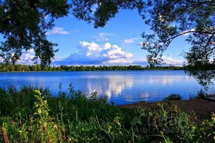 Участок в Новосибирская область, Барабинский район, д. Старощербаково  ... - Фото 1