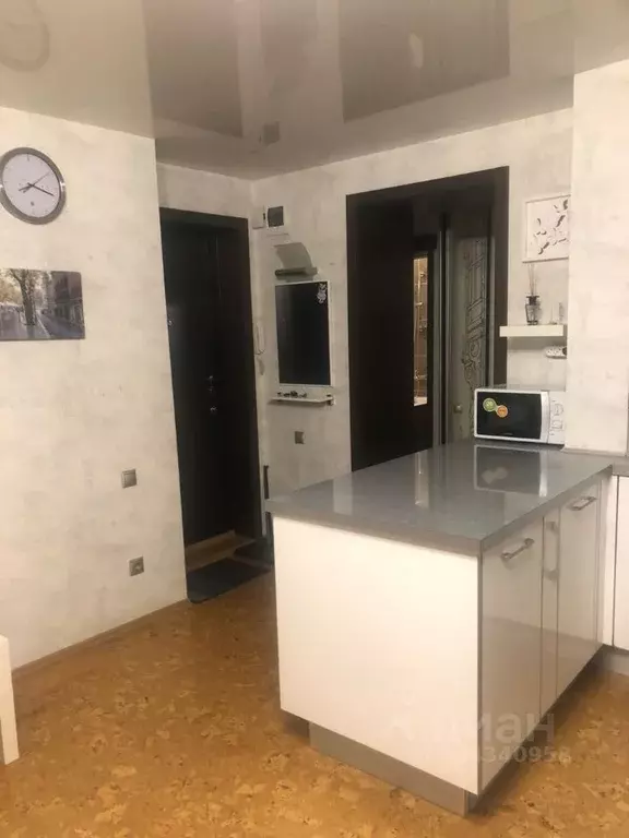 2-к кв. Новосибирская область, Новосибирск ул. Ленина, 25 (48.0 м) - Фото 2