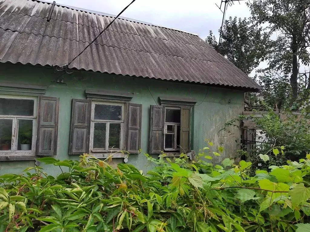 Дом в Орловская область, Орел Пожарная ул., 38 (38 м) - Фото 1