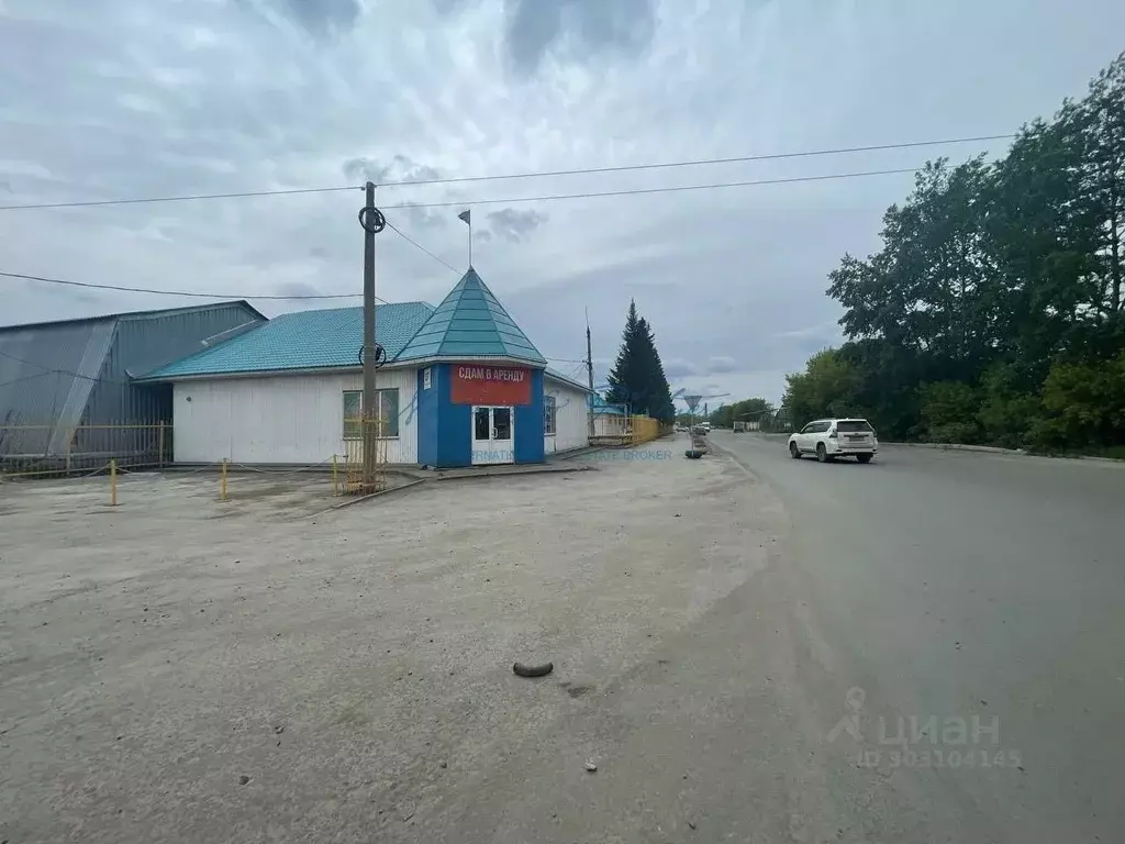 Торговая площадь в Новосибирская область, Новосибирск Толмачевское ш., ... - Фото 0