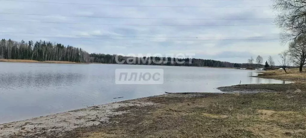 Участок в Московская область, Волоколамский муниципальный округ, д. ... - Фото 1