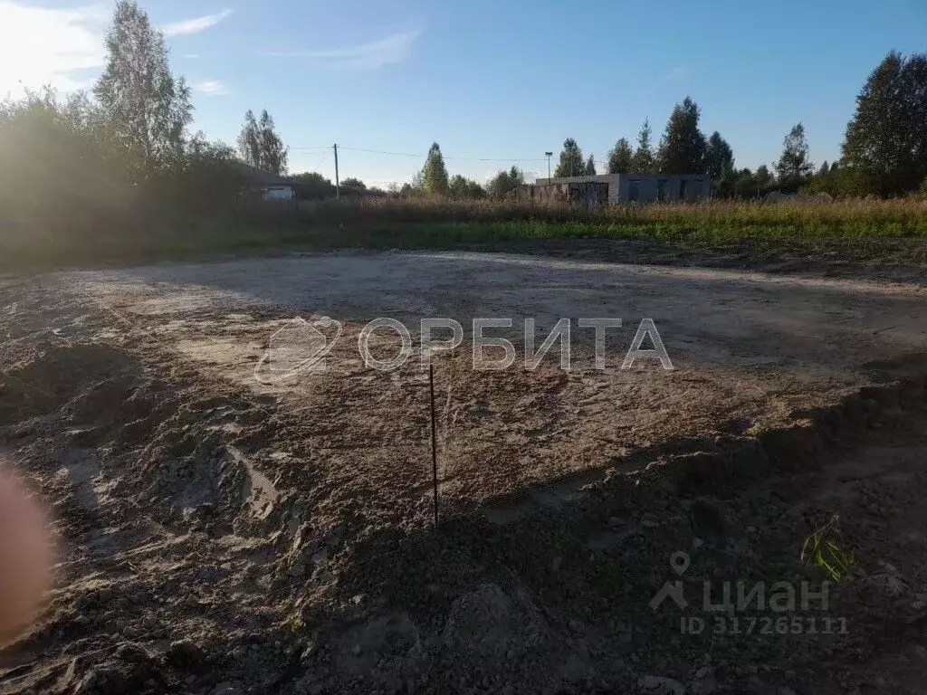 Участок в Тюменская область, Тюмень Россиянка садовое товарищество, ... - Фото 0