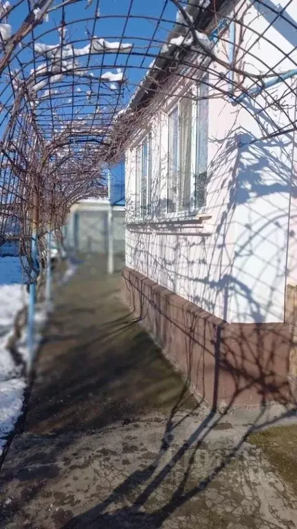 Дом в Краснодарский край, Крымск ул. Краснозеленая (49 м) - Фото 1