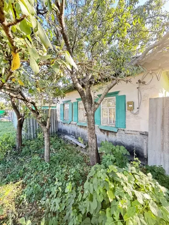 Дом в Белгородская область, Алексеевка ул. Чапаева, 150 (40 м) - Фото 1