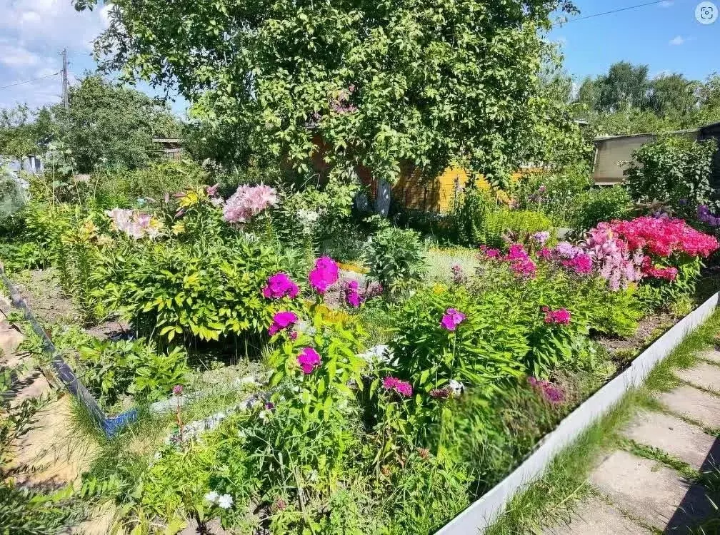 Дом в Вологодская область, Вологда Садовод садоводческое товарищество, ... - Фото 2
