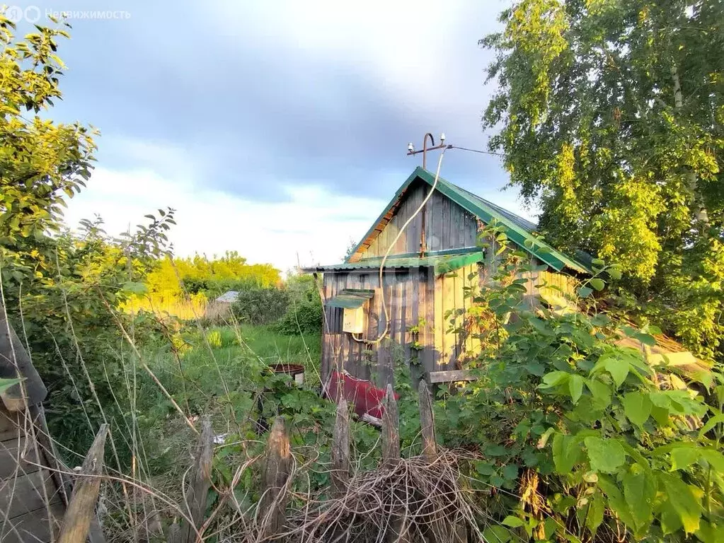 Дом в Курган, СНТ Пищевик (20 м) - Фото 2