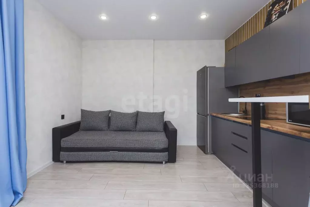 Студия Башкортостан, Уфимский район, с. Михайловка Новоуфимская ул., ... - Фото 1