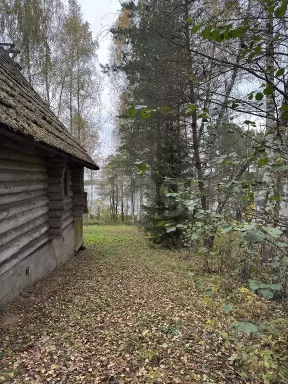 Дом в Псковская область, Себежское с/пос, д. Угаринка  (87 м) - Фото 2