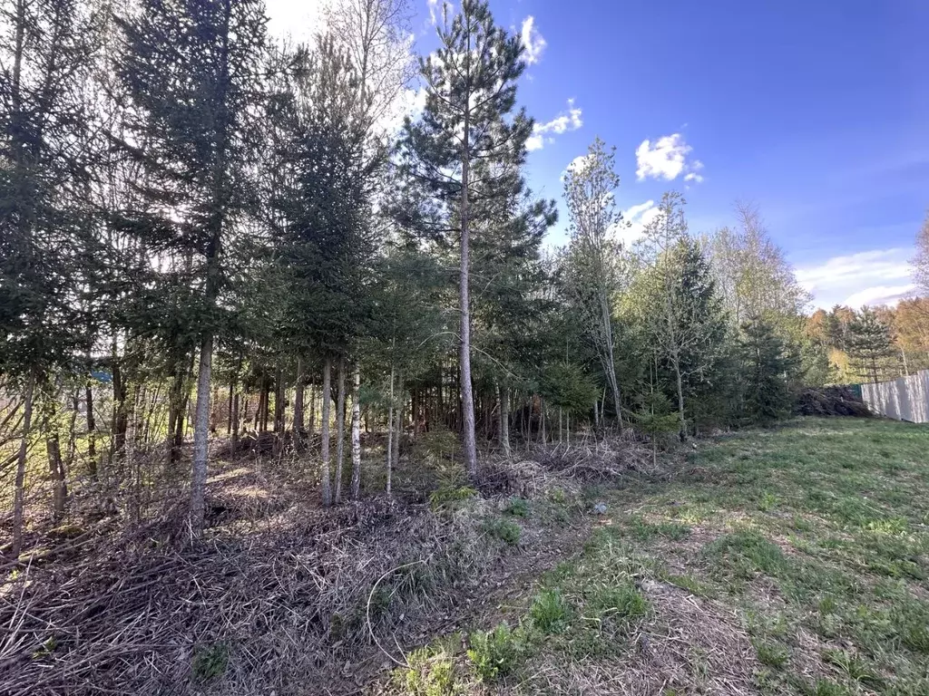 Участок в Владимирская область, Александровский район, Андреевское ... - Фото 0