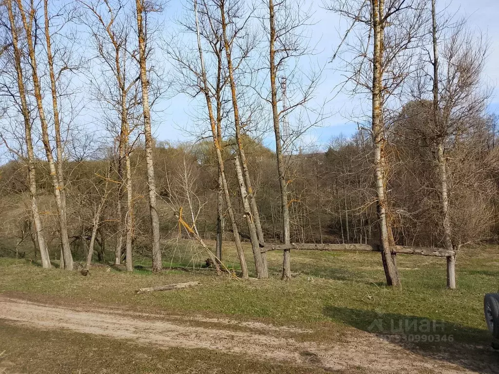 Участок в Тульская область, Тула городской округ, д. Кудрино  (15.0 ... - Фото 2