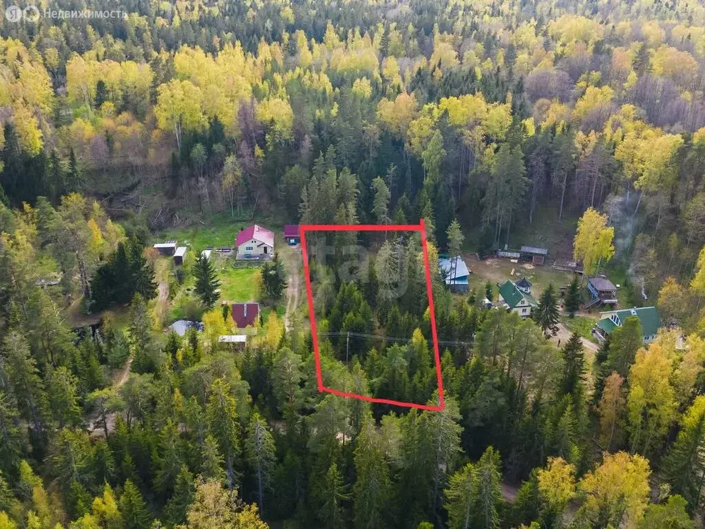 Участок в Вистинское сельское поселение, садоводческое некоммерческое ... - Фото 0