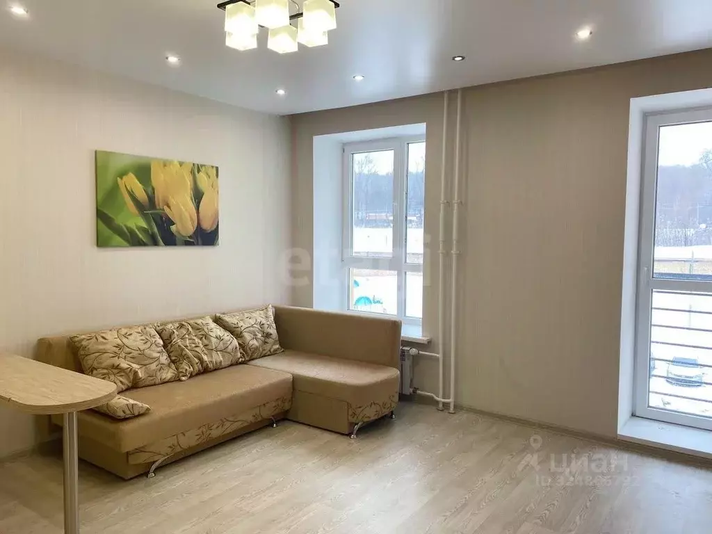 Студия Пензенская область, Пенза Ладожская ул., 112Б (28.8 м) - Фото 1