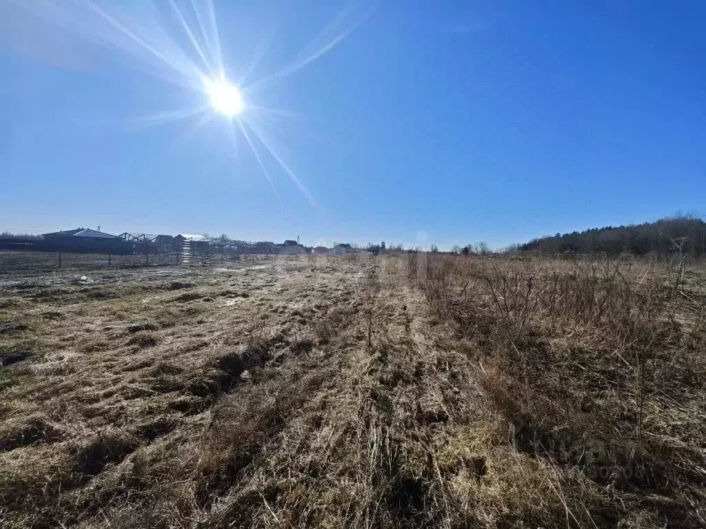 Участок в Псковская область, Псковский район, Тямшанская волость, д. ... - Фото 1