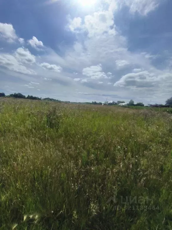 Участок в Омская область, Омск ул. Василия Маргелова (8.0 сот.) - Фото 1