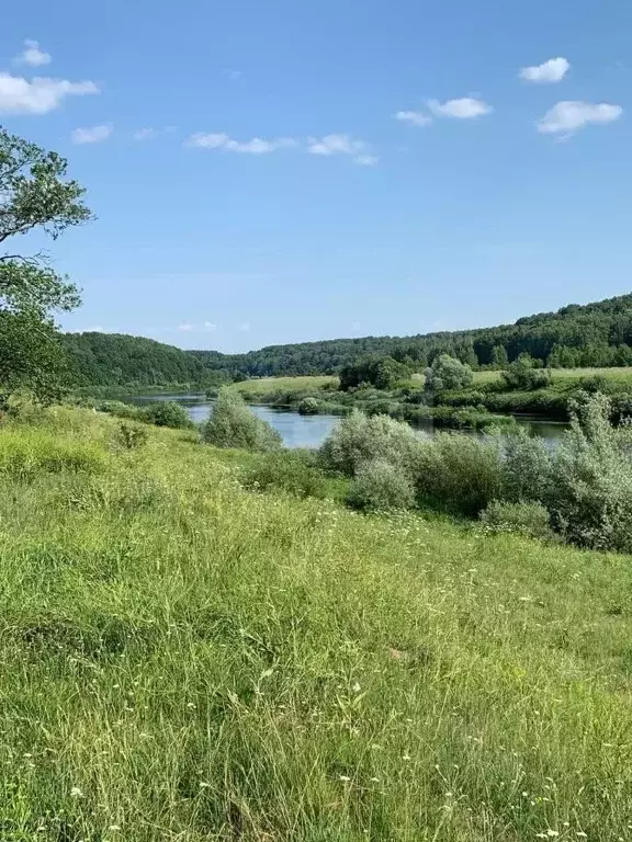 Дом в Калужская область, Дзержинский муниципальный округ, Угорское ... - Фото 2