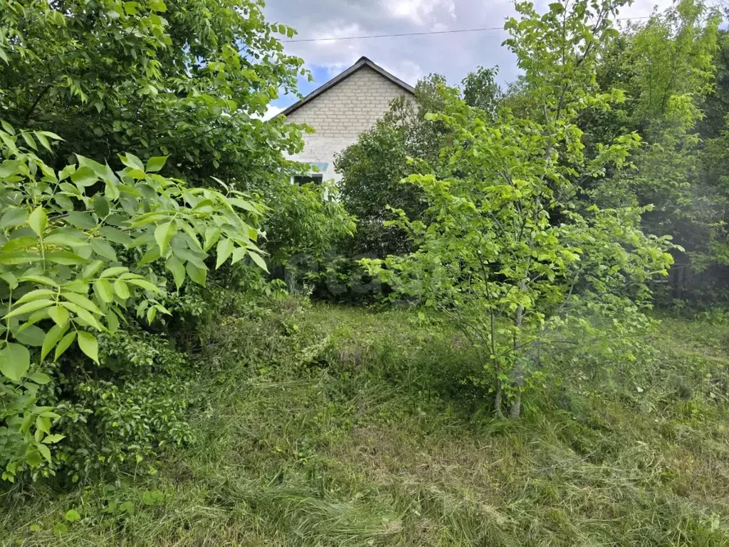 Дом в Белгородская область, Валуйский муниципальный округ, с. Тимоново ... - Фото 1