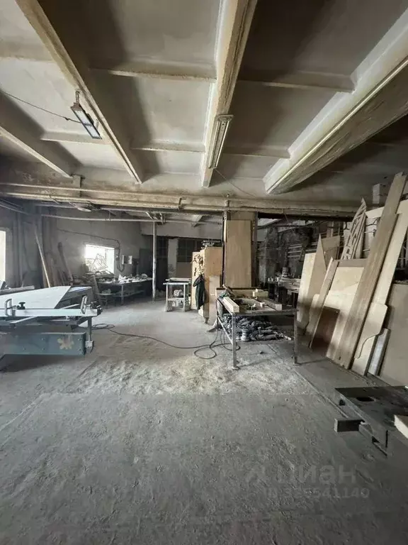 Производственное помещение в Новосибирская область, с. Новолуговое ул. ... - Фото 1