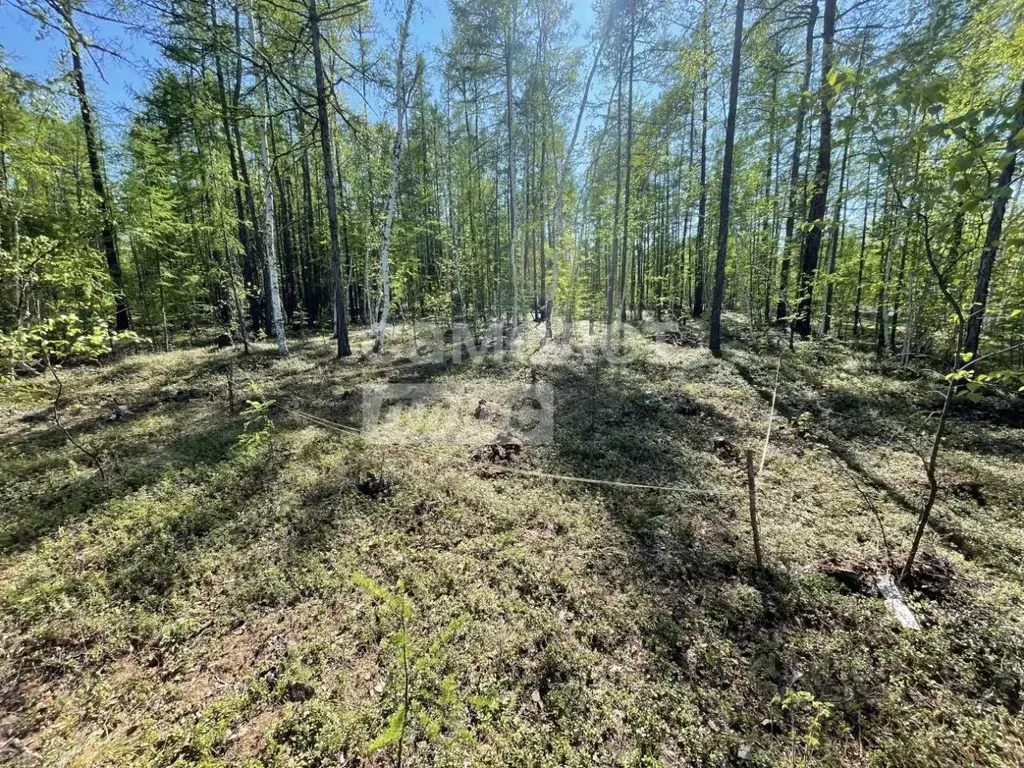 Участок в Саха (Якутия), Якутск Вилюйский тракт, 4-й км (11.19 сот.) - Фото 0