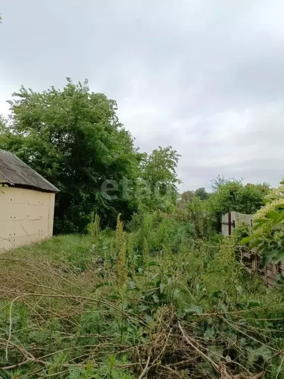 Участок в Ростовская область, Родионово-Несветайский район, Волошино ... - Фото 0