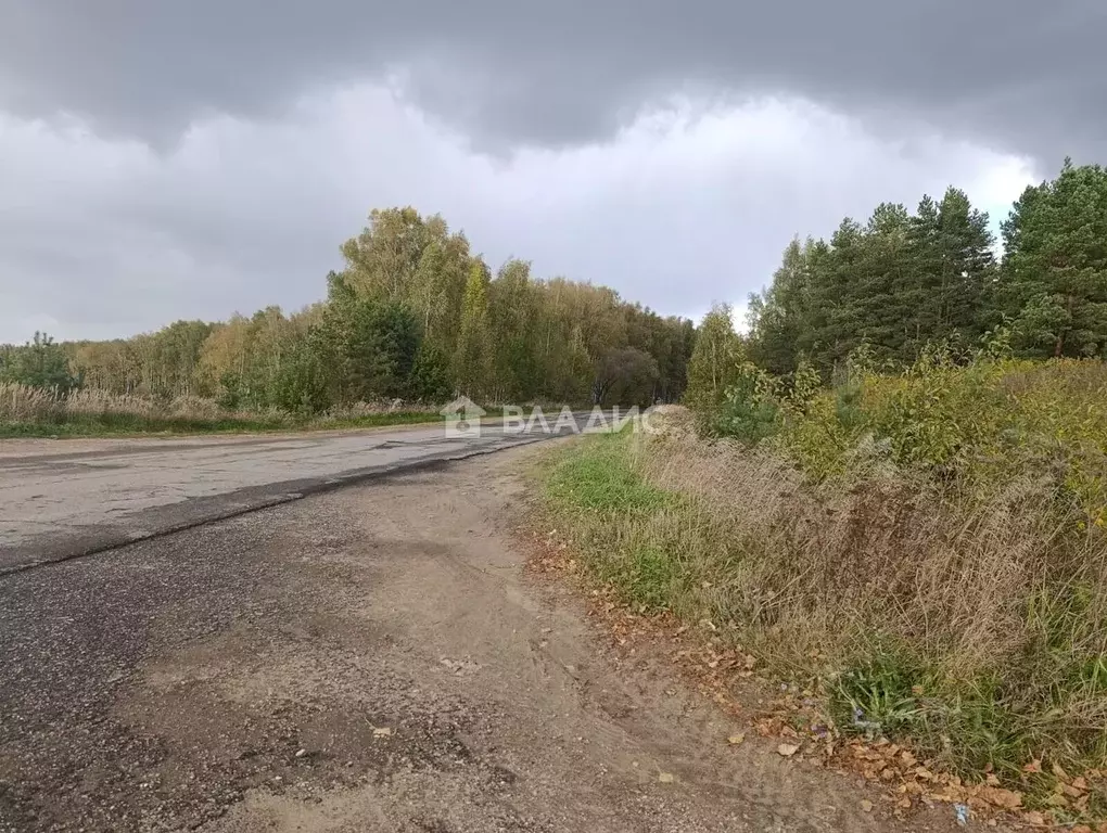 Участок в Владимирская область, Суздальский муниципальный округ, пос. ... - Фото 2
