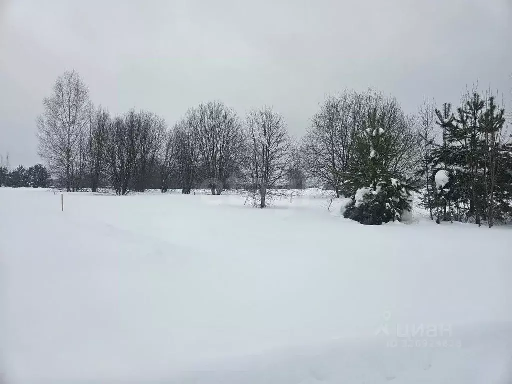 Участок в Владимирская область, Ковров ул. Отрадная (10.5 сот.) - Фото 2