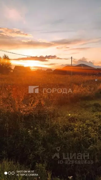 Участок в Новосибирская область, Новосибирский район, Криводановский ... - Фото 1