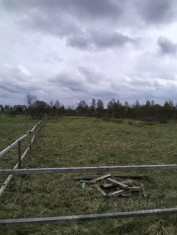 Участок в Новгородская область, Крестцы рп  (10.0 сот.) - Фото 1