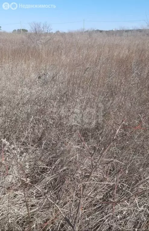 Участок в Амурская область, Благовещенский муниципальный округ, ... - Фото 2
