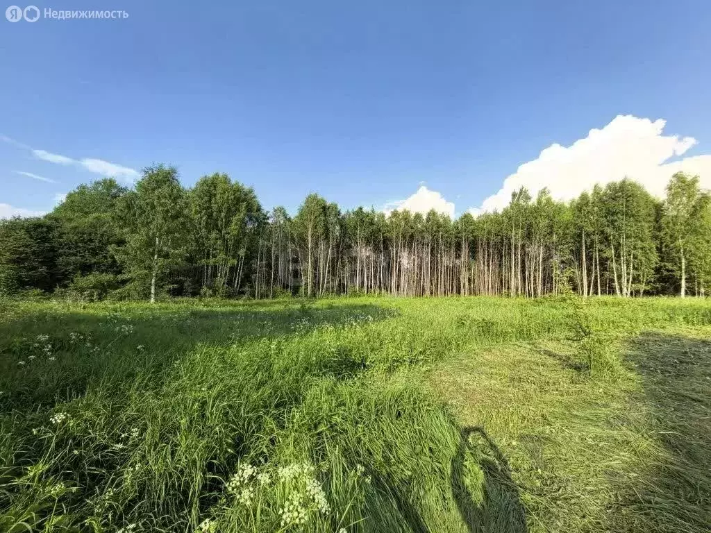 Участок в Ярославский муниципальный округ, деревня Меньшиково (20 м) - Фото 1