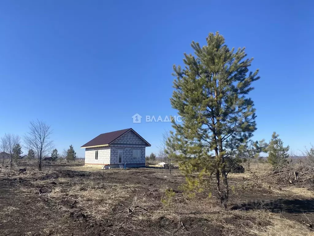 Дом в Пензенская область, с. Бессоновка  (70 м) - Фото 1