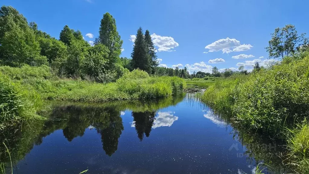 Участок в Новгородская область, Демянский муниципальный округ, д. ... - Фото 1