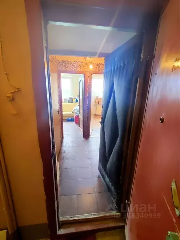 1-к кв. Санкт-Петербург Белградская ул., 20К1 (30.84 м) - Фото 1